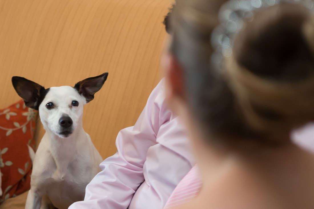 fotografo bodas Zaragoza 10 44