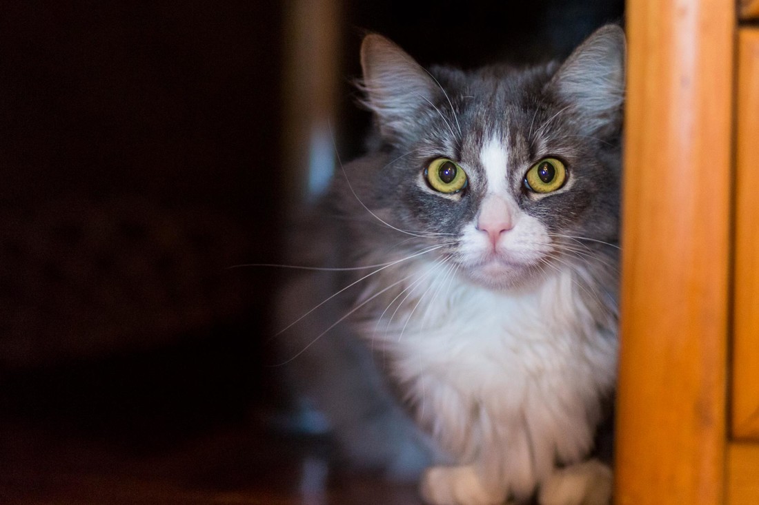 fotografo bodas zaragoza 15 06